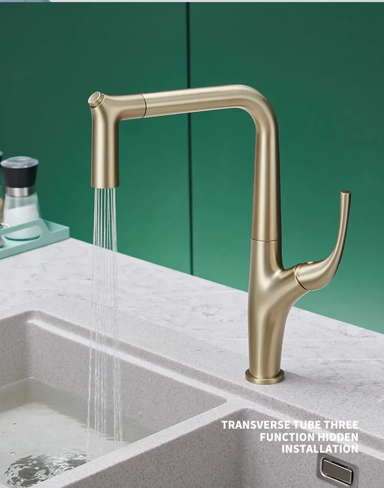 Pull Out Water Filter Tap Bras - Commercial Kitchen Mixer Tap recension och pris